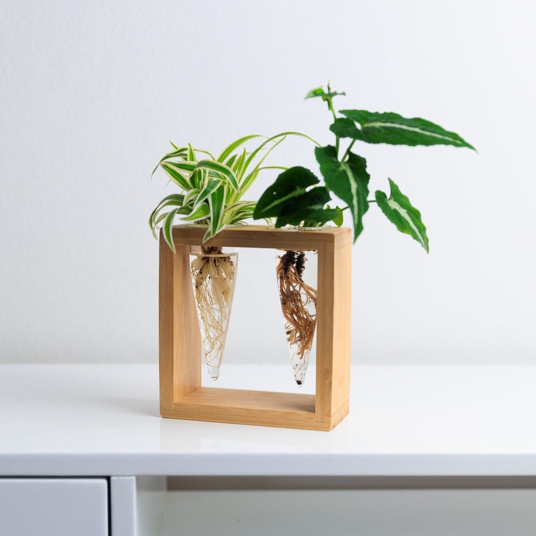 Proppi 2 Propagation Station with Plants
