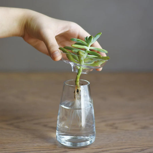 Kinto Propagation Vase