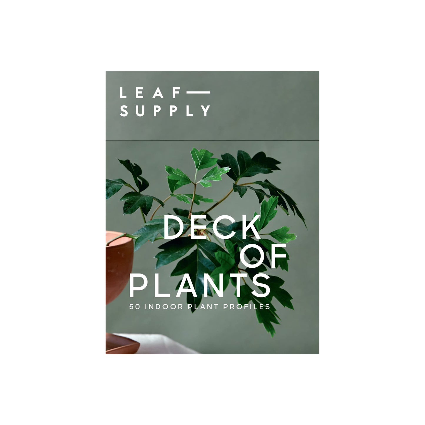 Leaf Supply Deck of Plants