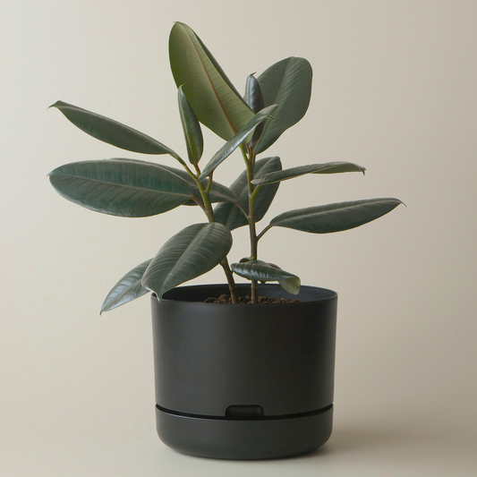 Mr Kitly Selfwatering Plant Pot, Recycled Black