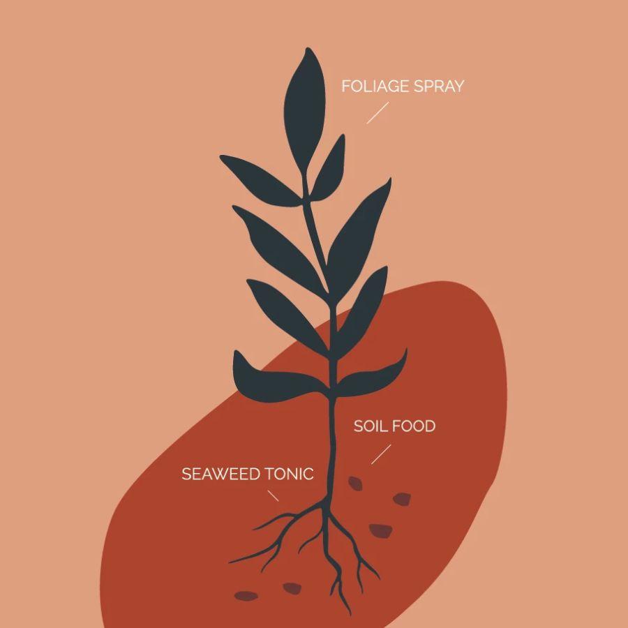 Munash Organics Plant Care Range