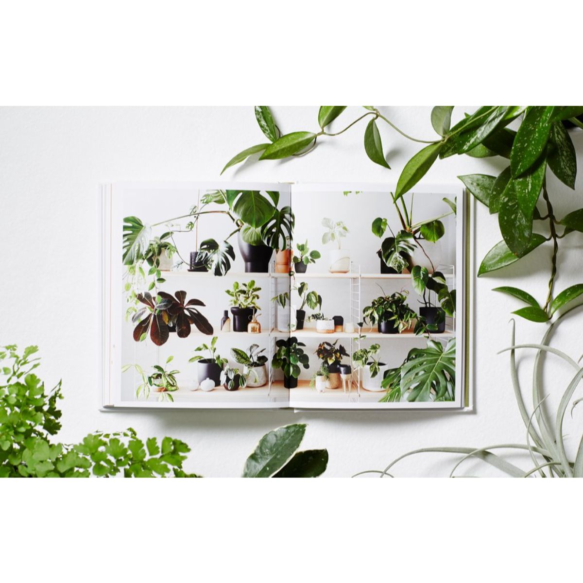Plant Style Book