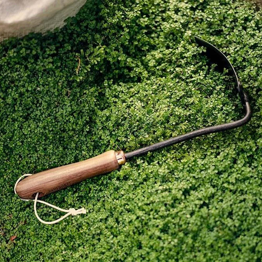 Barebones Square Garden Hoe
