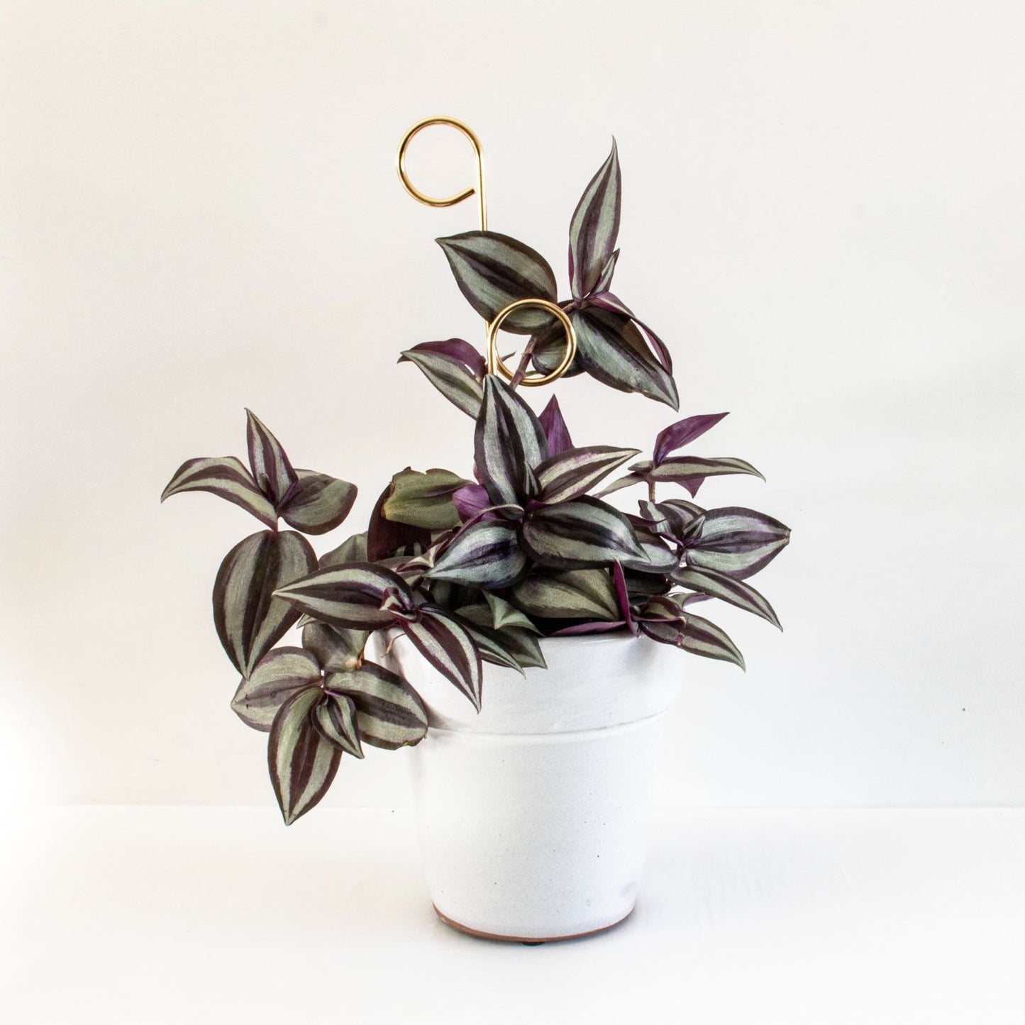 Botanopia Perch Mini Plant Stake, Gold in Pot Plant