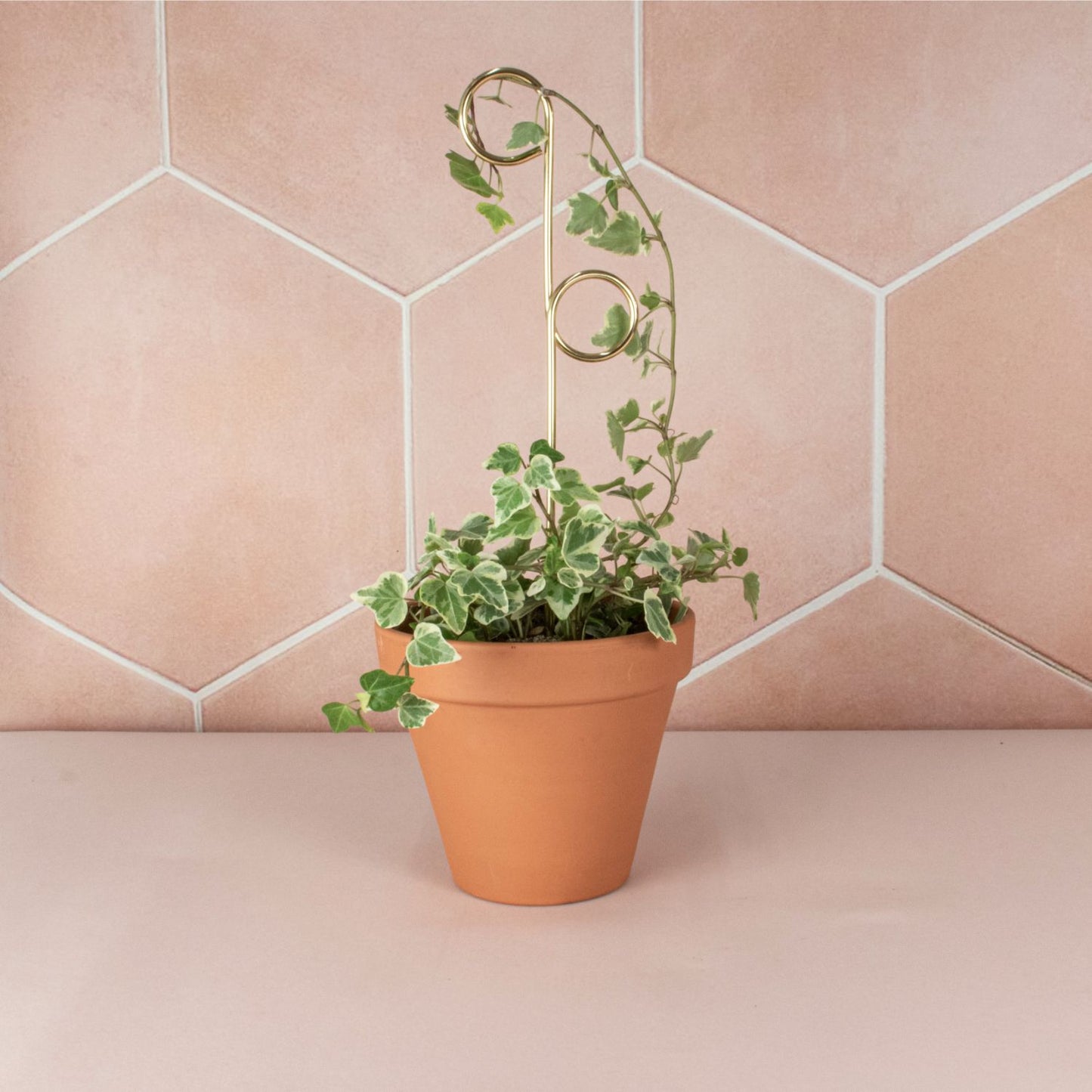 Botanopia Perch Mini Plant Stake, Gold in Pot