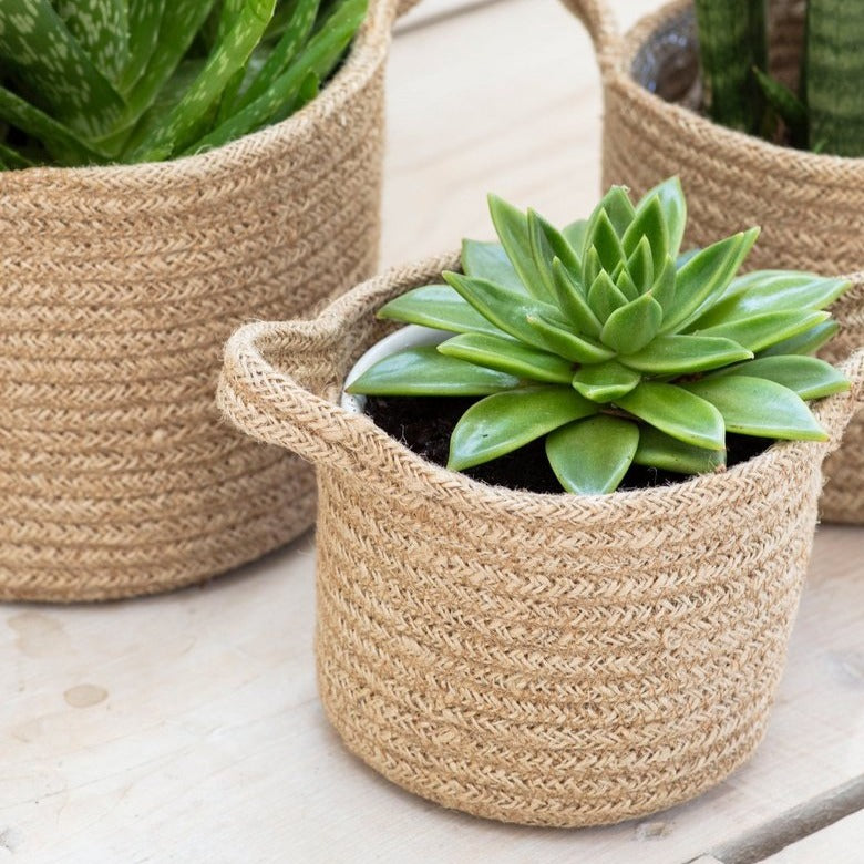 Set of 3 Woven Pots