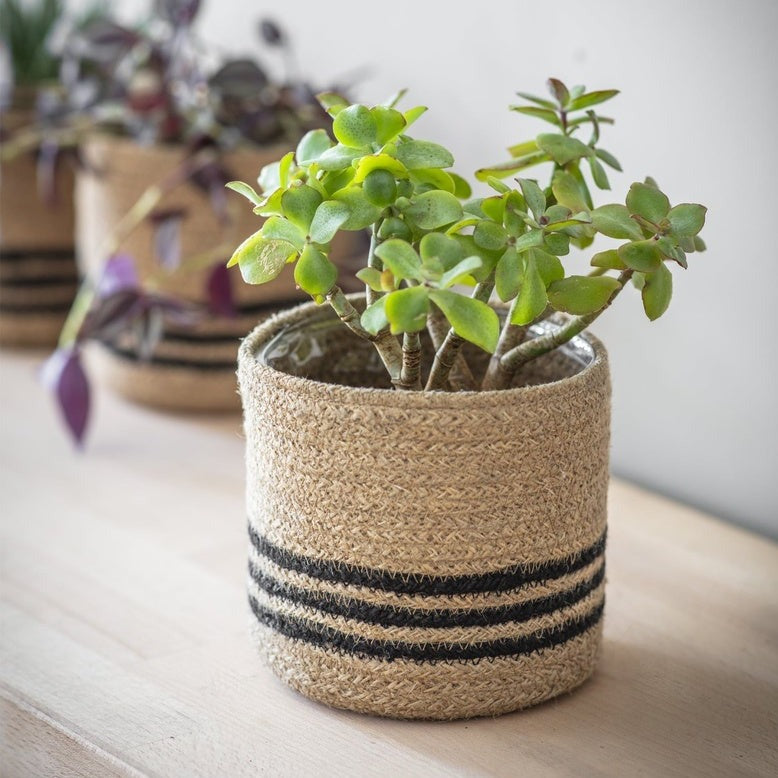 Striped Jute Pot