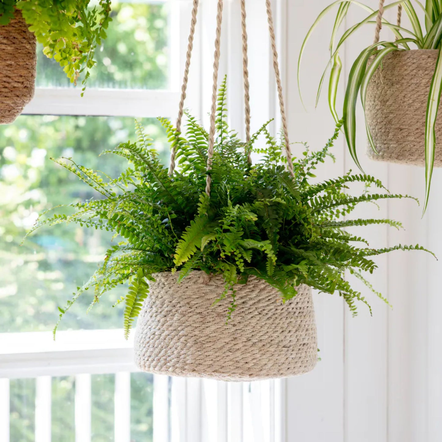 Garden Trading Tapered Woven Hanging Basket with Fern