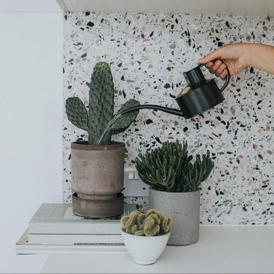 Meet the perfect small watering can for keeping your interior jungle in tip-top condition.