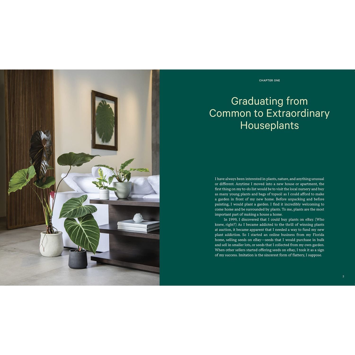 Graduating from Common to Extraordinary Houseplants