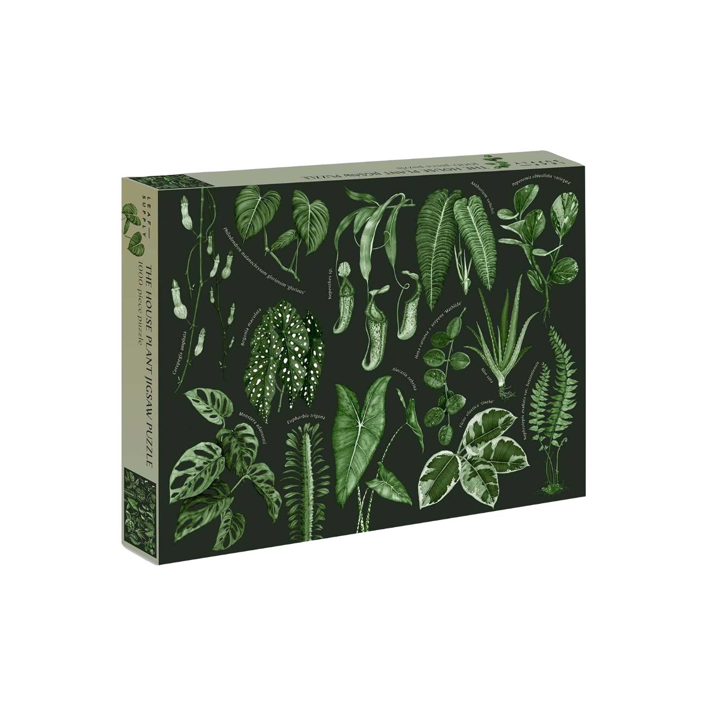 Leaf Supply: The House Plant Jigsaw Puzzle
