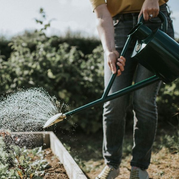 Outdoor Watering Cans