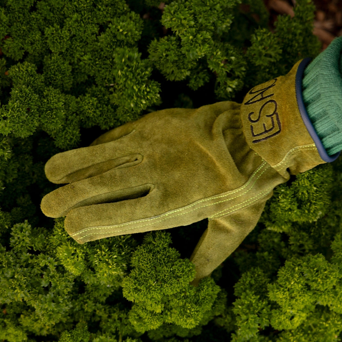 Everyday Garden Gloves, Olive