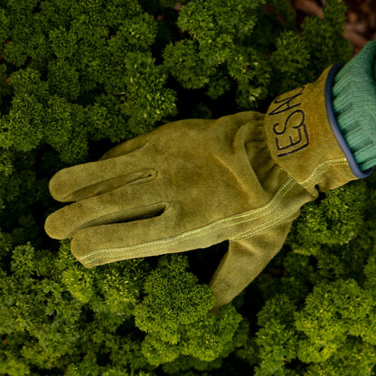 Everyday Garden Gloves, Olive