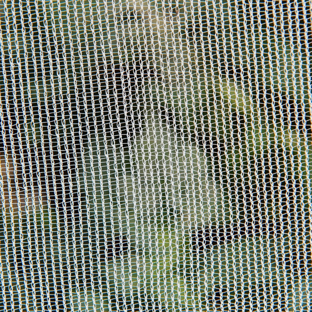Insect Netting