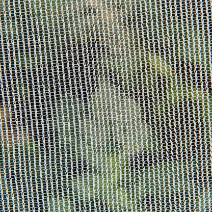 Insect Netting
