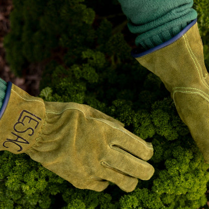 Everyday Garden Gloves, Olive