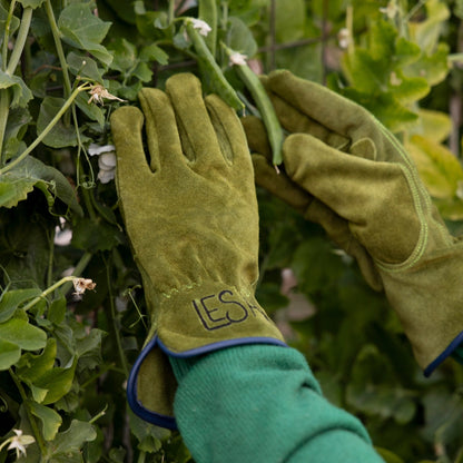 Everyday Garden Gloves, Olive