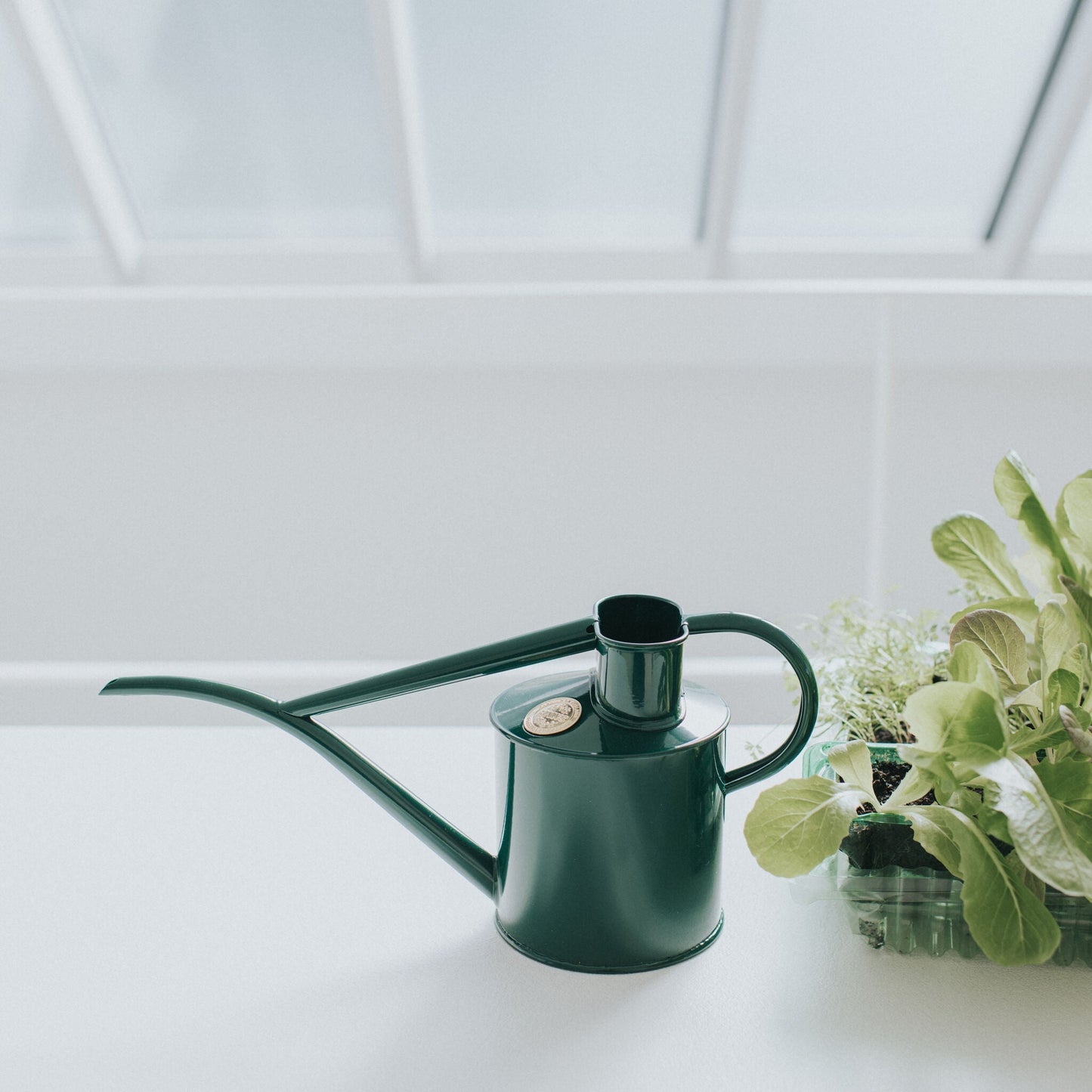 Haws Fazeley Flow Watering Can in Green