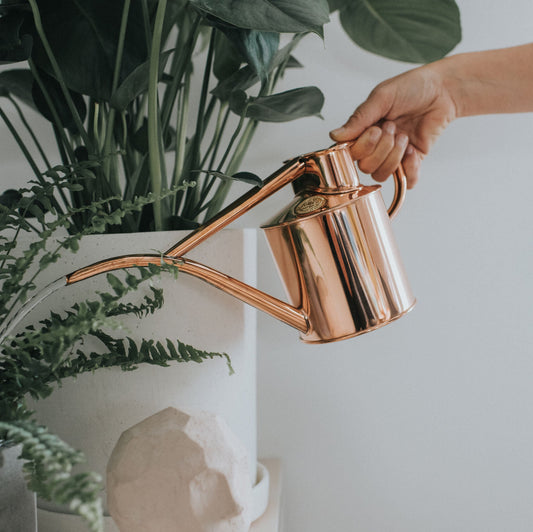 Watering Plants with Haws Copper Fazeley Flow Watering Can