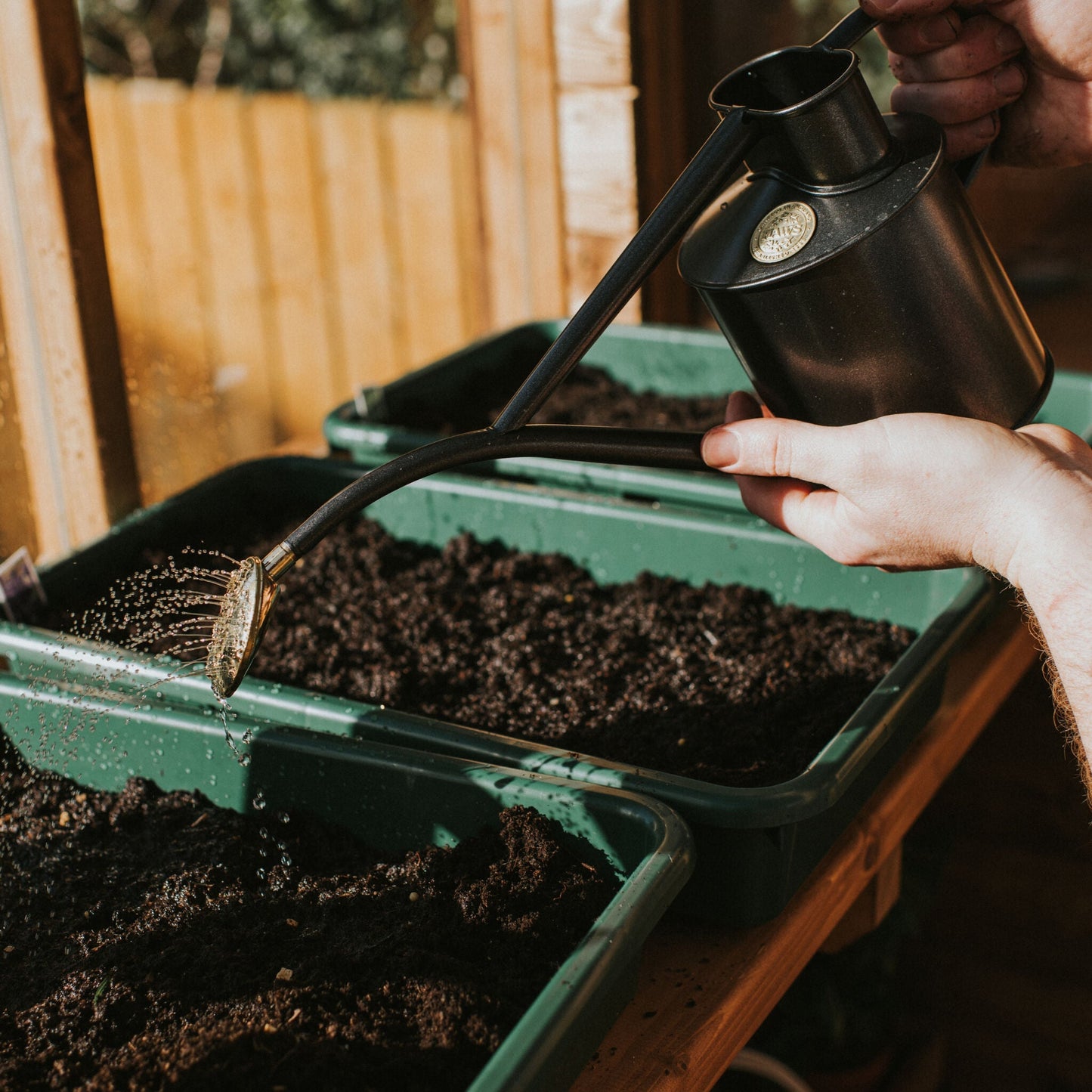 Watering Seeds with Haws Graphite Rowley Ripple
