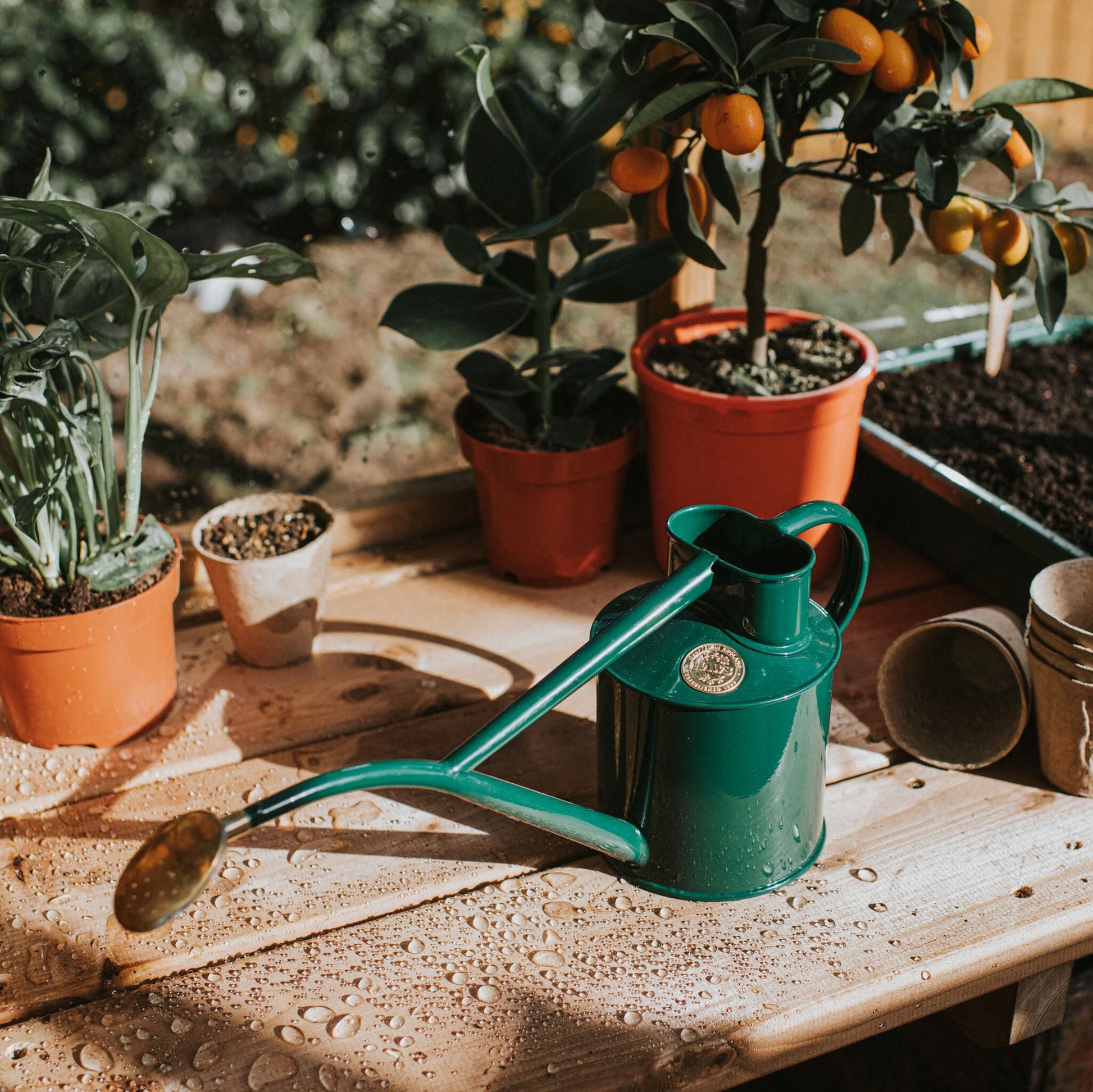 Green Haws Watering Can Made in England