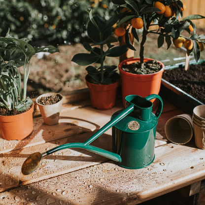 Green Haws Watering Can Made in England