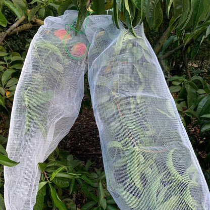Fruit Protection Bags