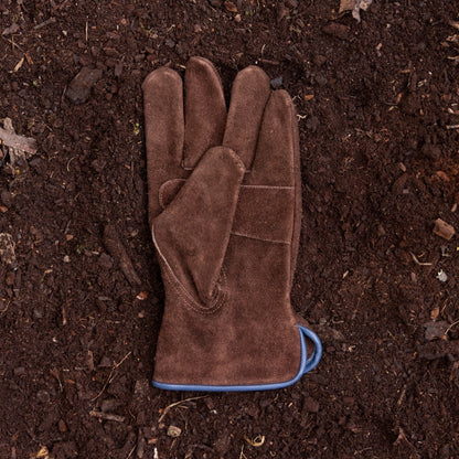 Everyday Garden Gloves, Brown