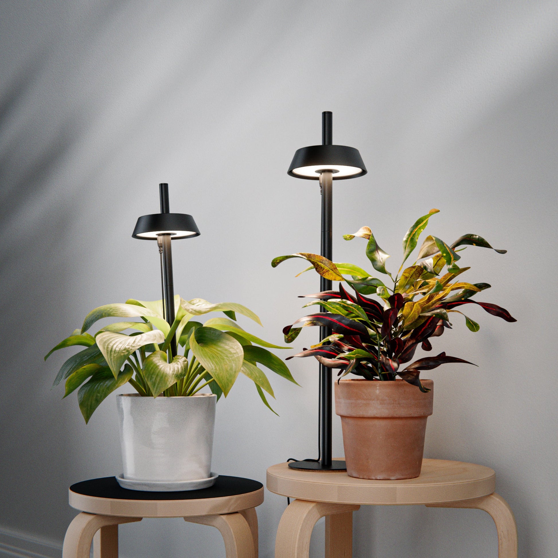 plant grow lights australia Ample Ori Duo Grow Light Bundle – Backyard Botanist