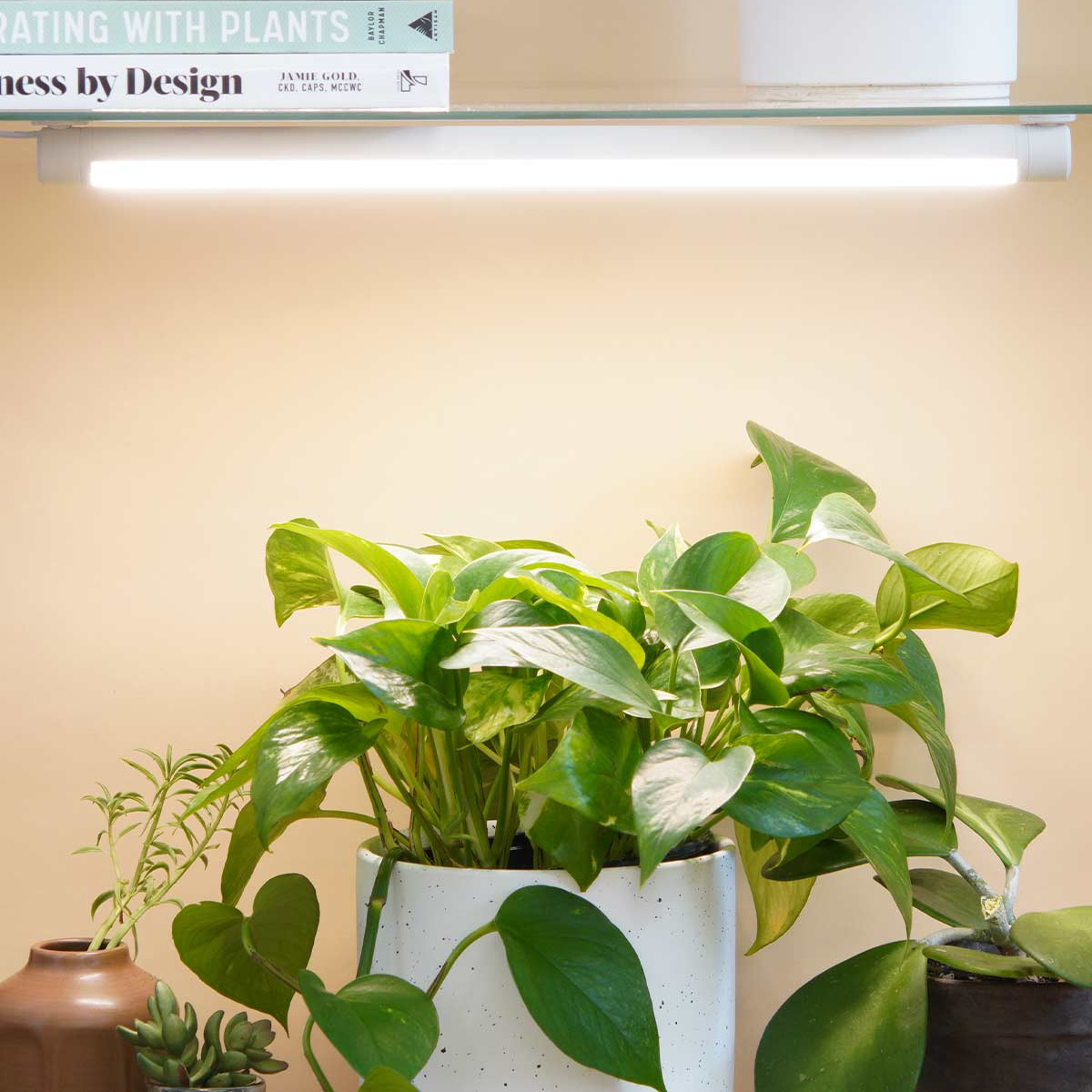 Soltech Grove™ LED Grow Light, White - Shelf