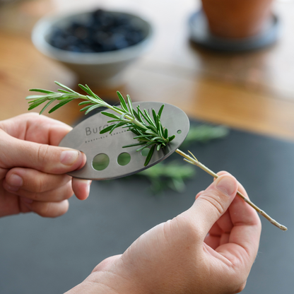 Burgon & Ball RHS 'Asteraceae' Herb Stripper