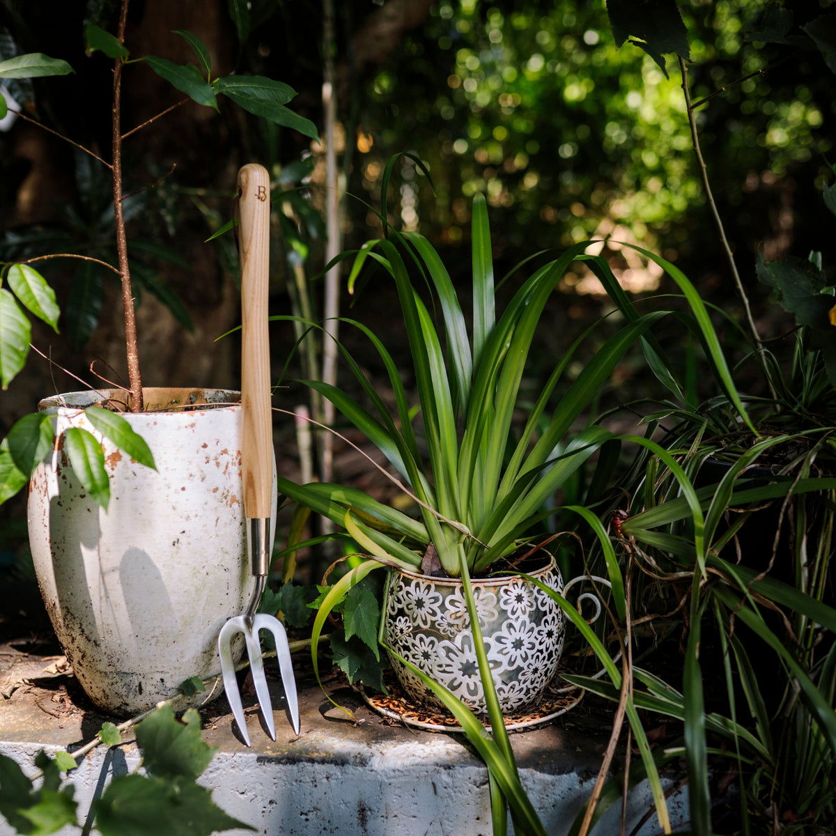 Backyard Botanist Long Reach Garden Hand Fork