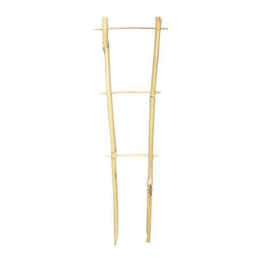 Bamboo Plant Trainer