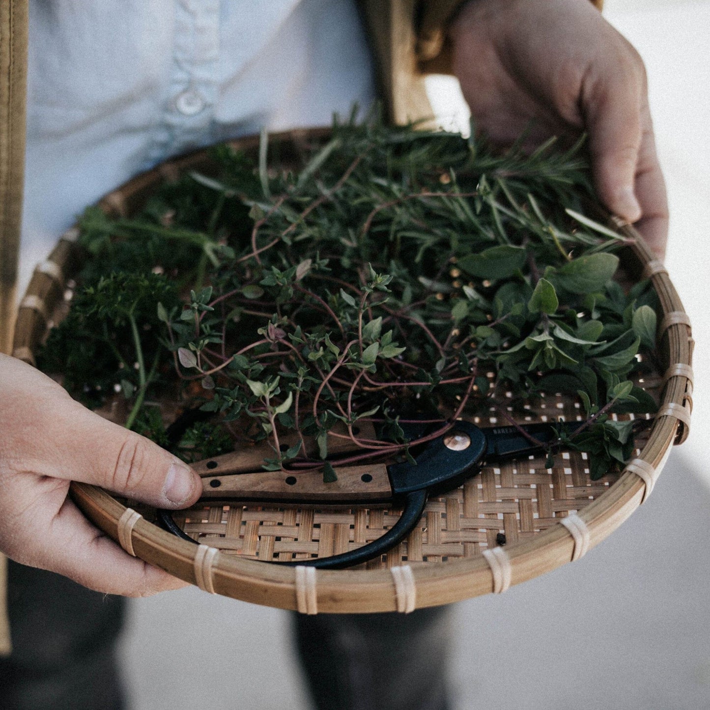 Barebones Garden Scissors with Herbs