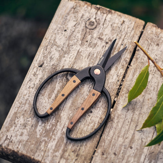 Barebones Garden Scissors on Bench