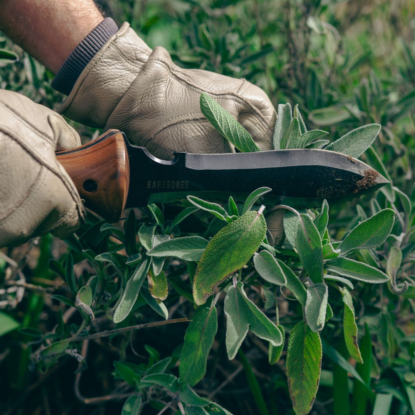 Barebones Hori Hori Ultimate II Gardening