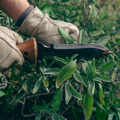Barebones Hori Hori Ultimate II Gardening