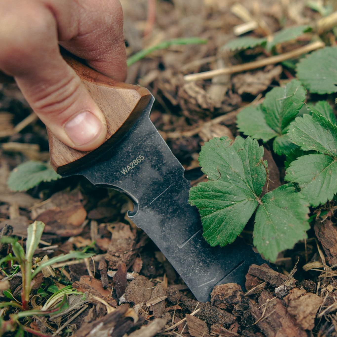 Barebones Hori Hori Ultimate II Trowel