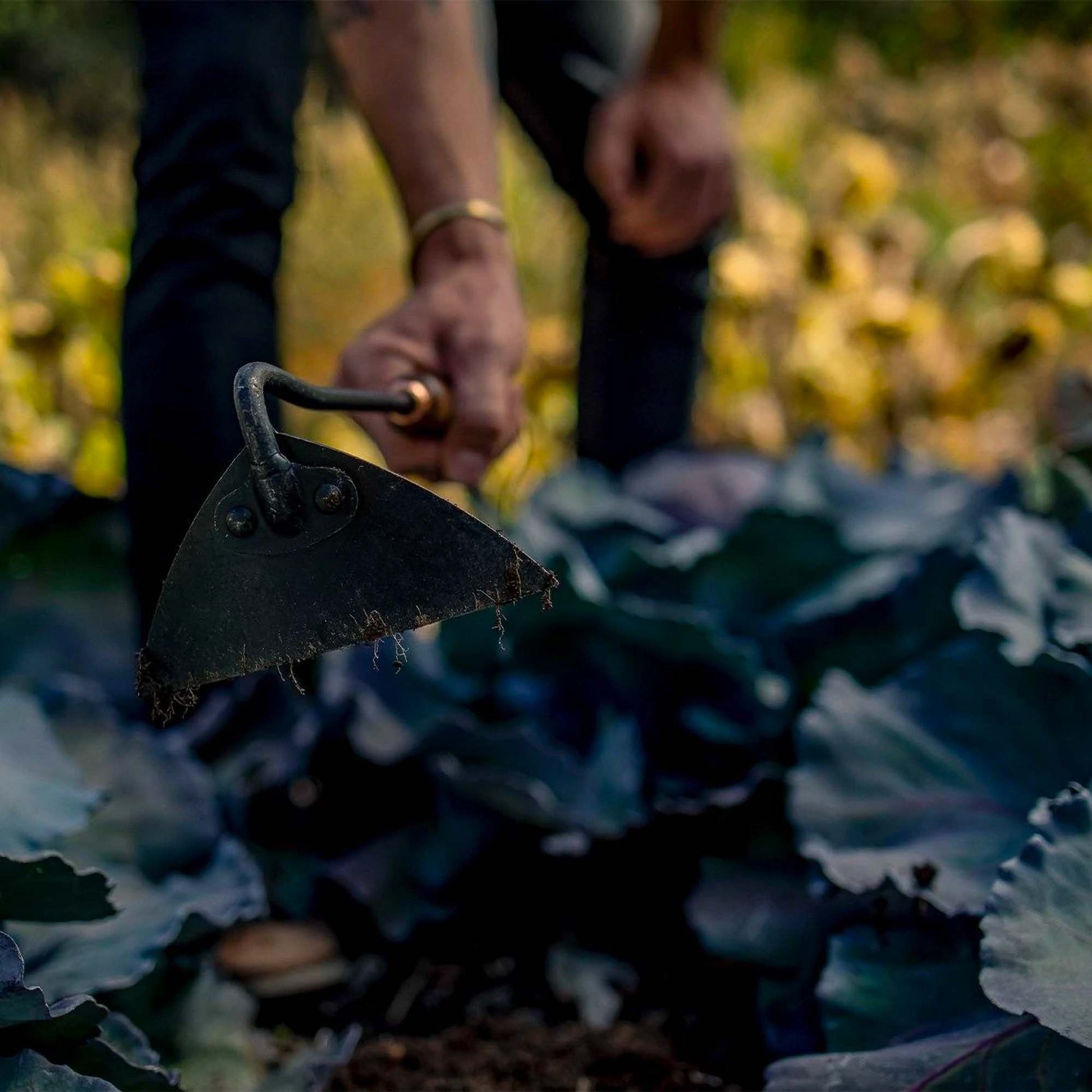 Gardening with Barebones Triangle Hand Hoe