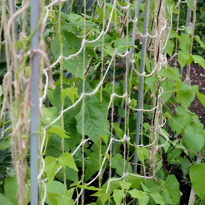 Biodegradable Natural Garden Support