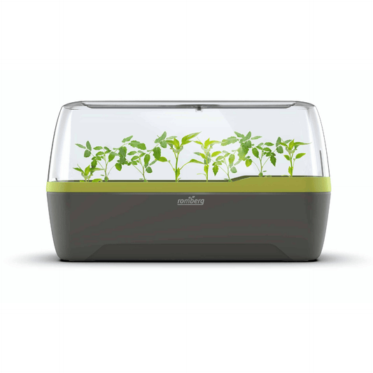 BoQube L Self-Watering Indoor Greenhouse