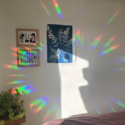 Botanopia Rainbow Maker Stickers Effect on Wall