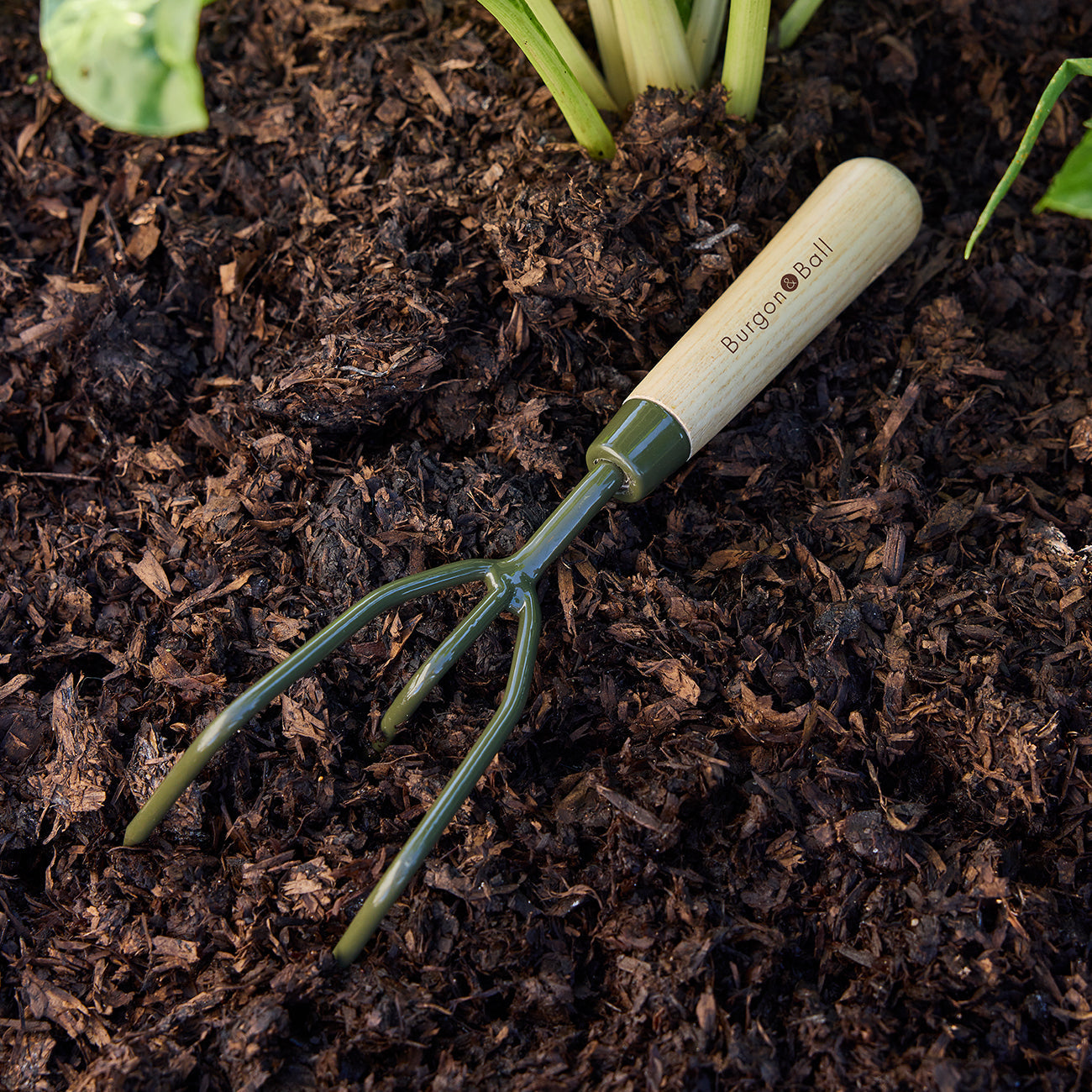 Burgon & Ball RHS BoronGreen Claw Cultivator in Garden