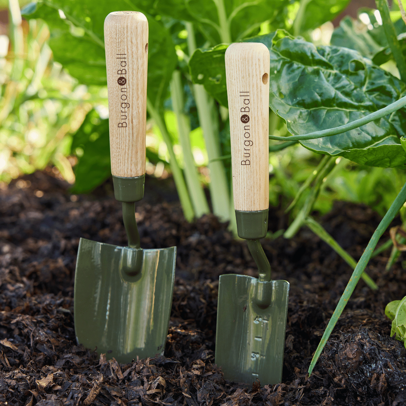 Burgon & Ball RHS Borongreen Trowel and Transplanter