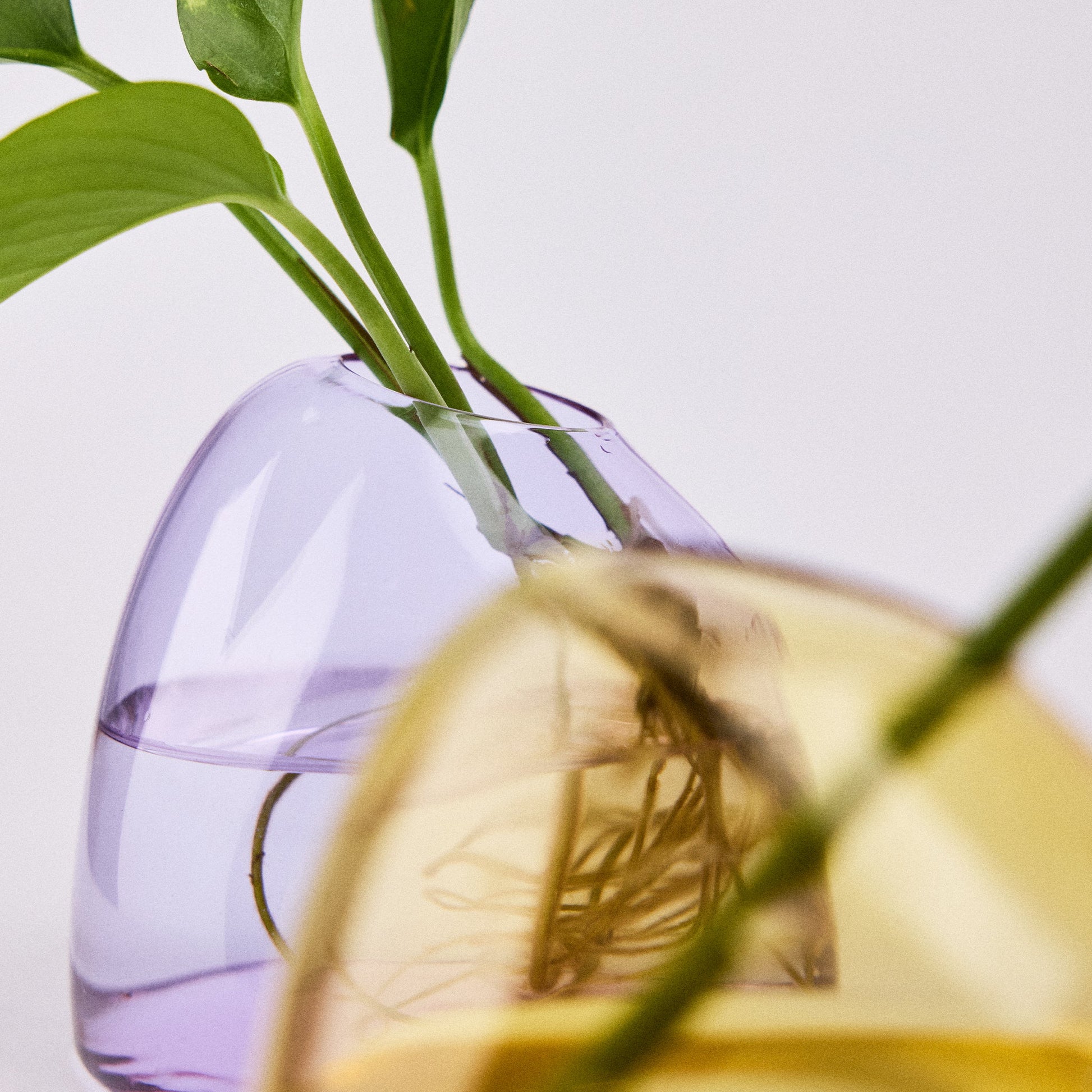 Casper Vases Lilac & Yellow