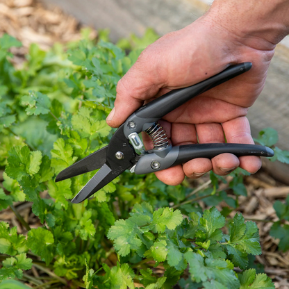 Chikamasa JP-2000FBK Pruner in Garden