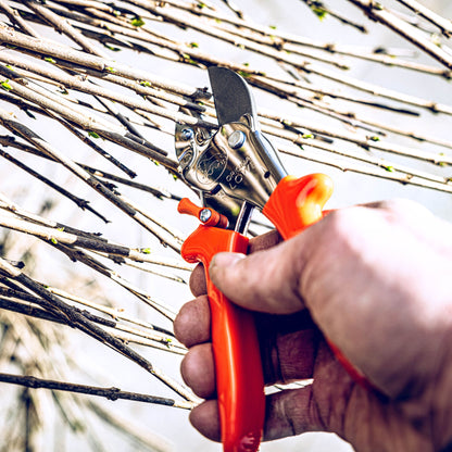 Clean Cut Lowe No5 Anvil Pruner
