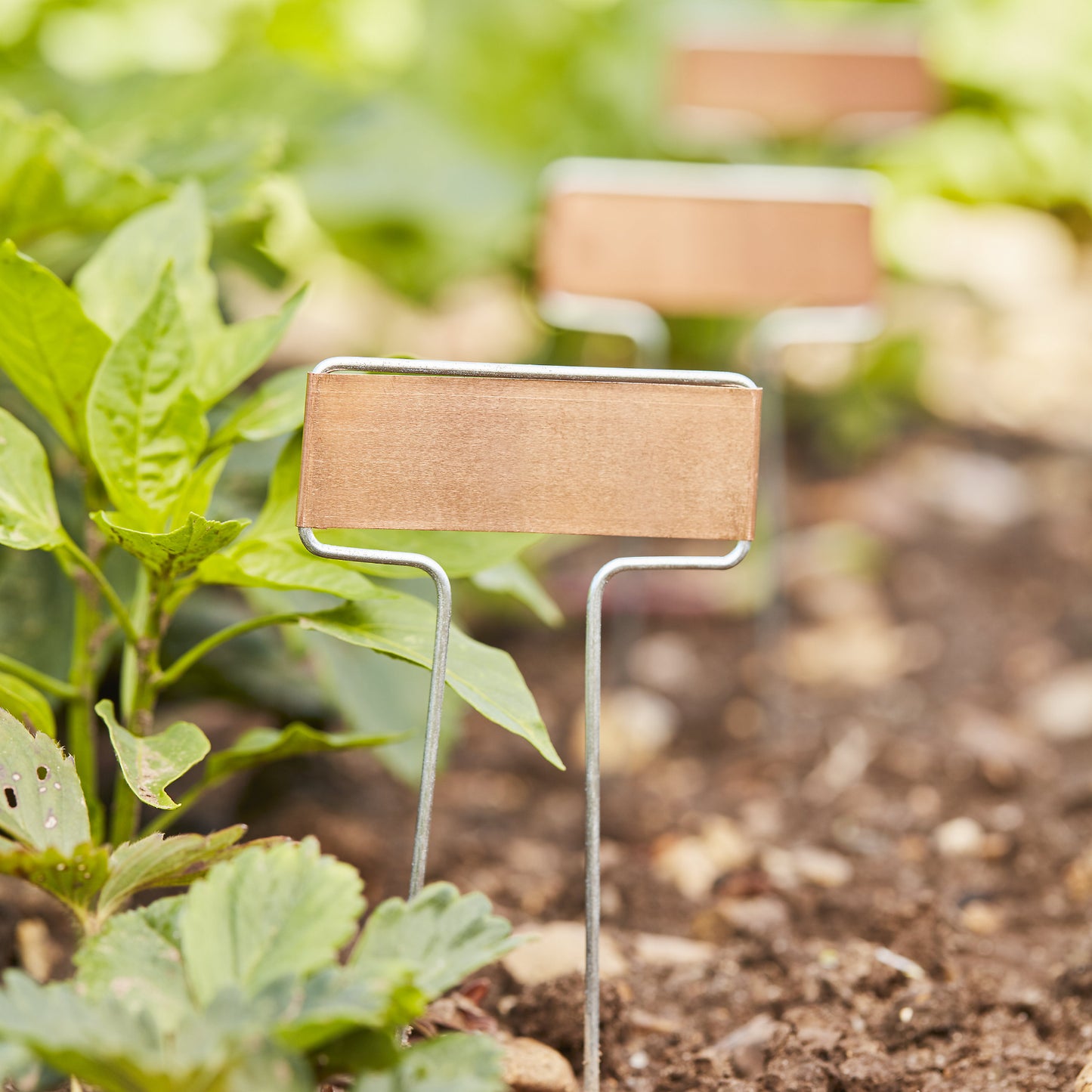 Copper Garden Plant Label