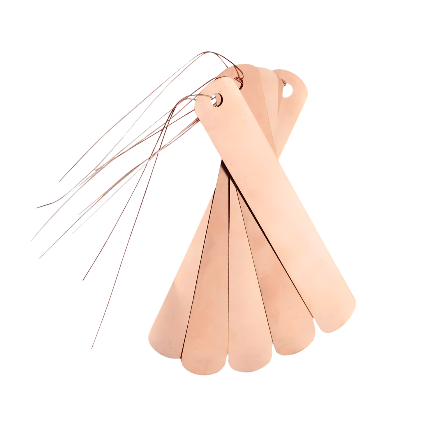 Copper Plant Tag Set